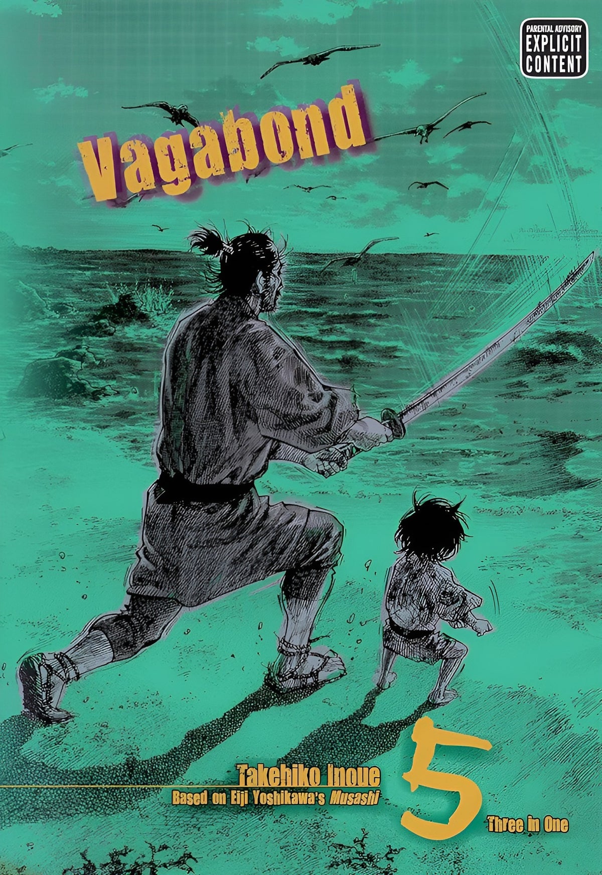 Vagabond (VIZBIG Edition) Vol. 5