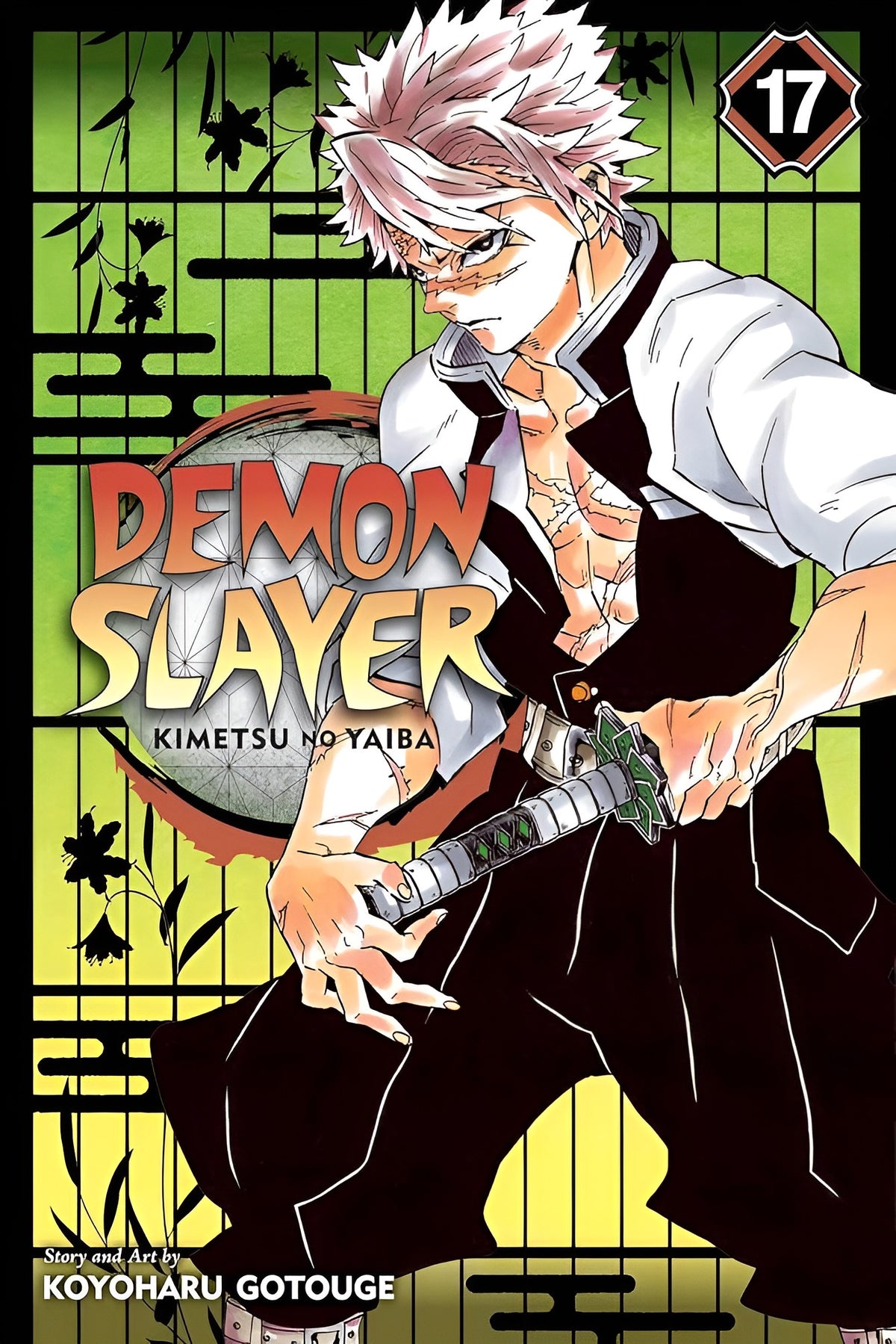 Demon Slayer: Kimetsu no Yaiba Vol. 17