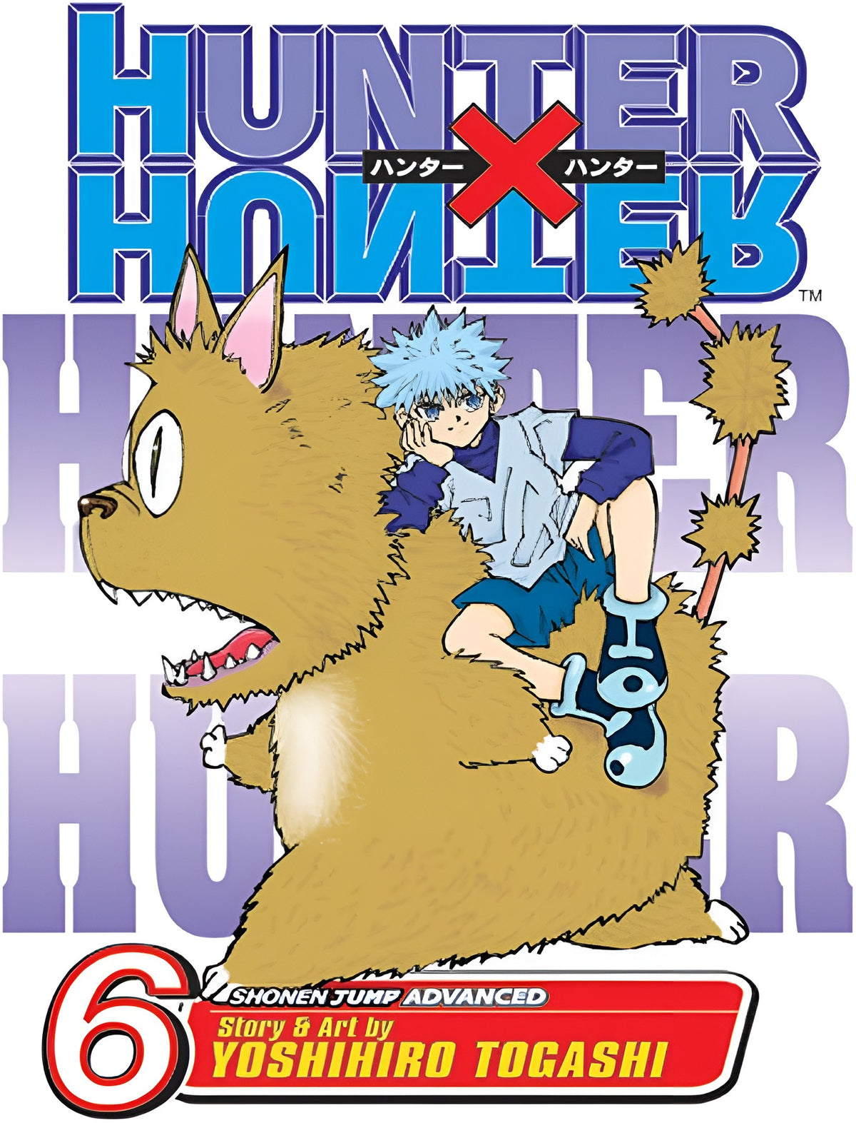 Hunter x Hunter Vol. 6