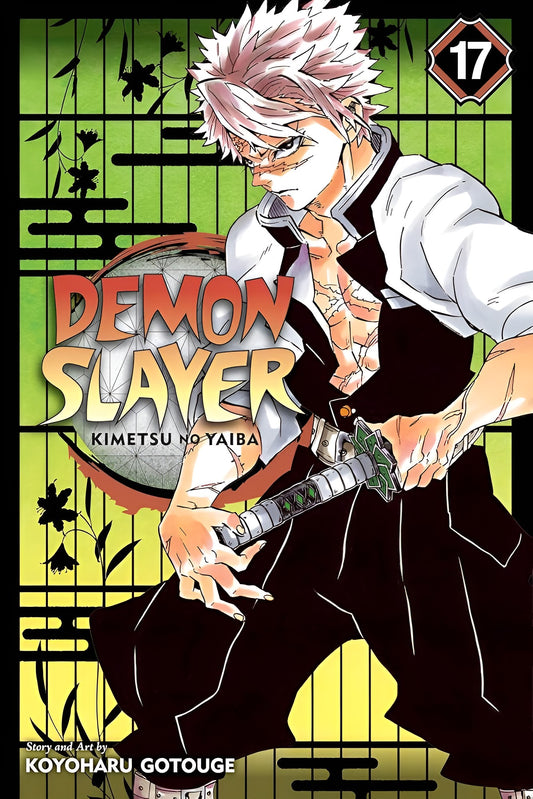 Demon Slayer: Kimetsu no Yaiba Vol. 17