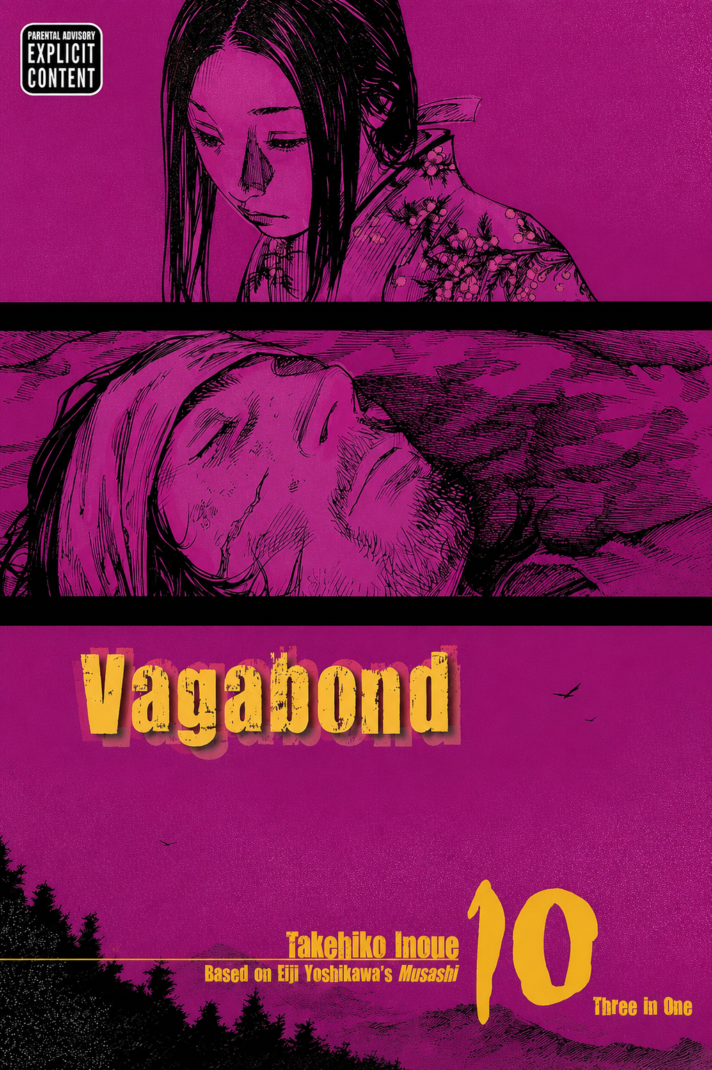 Vagabond (VIZBIG Edition) Vol. 10